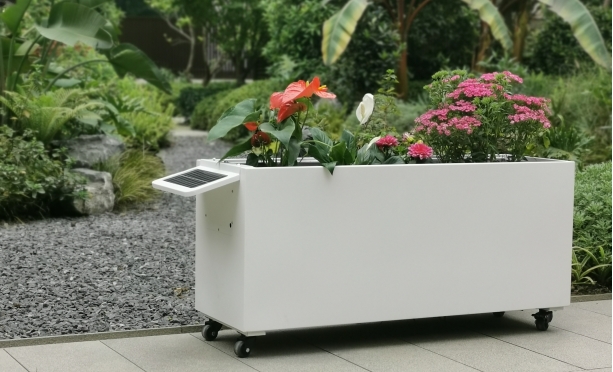 自动浇灌花箱